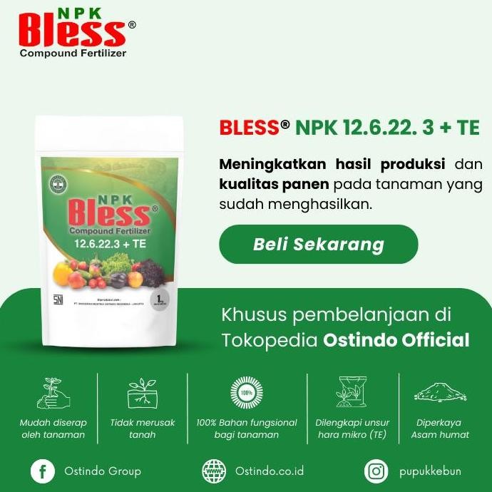 

Terlaris Pupuk Buah Npk Bless 12.6.22.3+Te - Kemasan 1 Kg