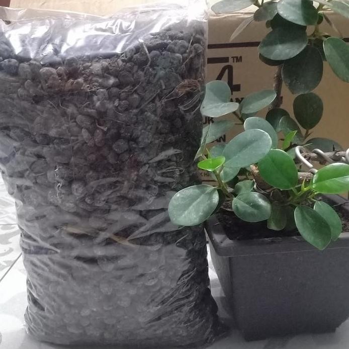 

Terlaris Pupuk Kandang Kohe Kambing Kasar Permentasi