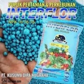 

Terlaris Npk Mutiara 161616 Interflor Repaking 1 Kg Penyubur Tanaman