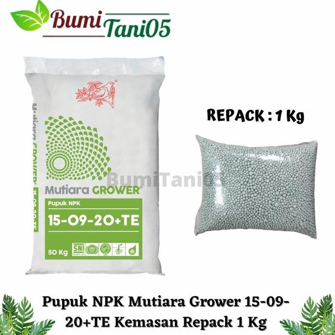 

Terlaris Pupuk Npk Mutiara Grower 15-09-20+Te Meroke Kemasan Repack 1 Kg