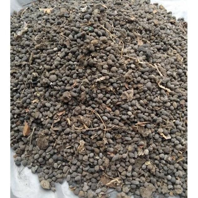 

Terlaris Pupuk Kandang Kambing Kasar - Pupuk Kambing Kasar Geek F Pkkkko 8165Ae