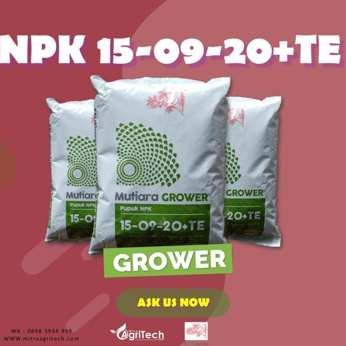 

Terlaris Pupuk Npk Mutiara Grower Kemasan Pabrik 1 Kg - Meroke Tetap Jaya