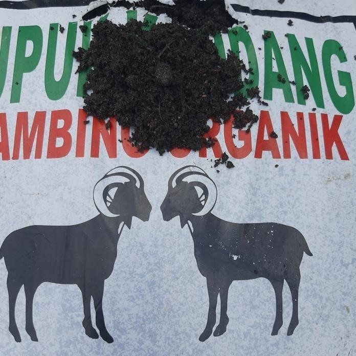 

Terlaris Pupuk Kandang Kambing Organik Halus Grosir Pondokgede