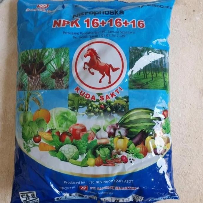 

Terlaris Pupuk Npk Nitrophoska 16 Cap Kuda Sakti 1 Kg