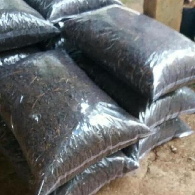 

Terlaris Terbaik Terpercaya Jual Pupuk Kandang Murni 1 Kg Berkualitas