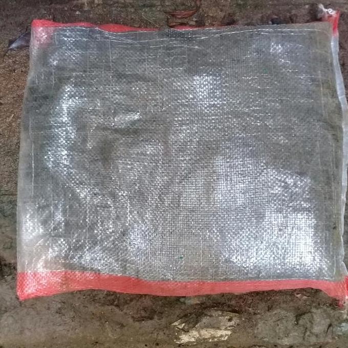 

Terlaris Pupuk Kandang Kambing Matang