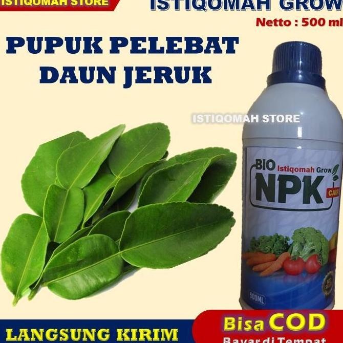

Terlaris Pupuk Pelebat Daun Jeruk Paling Ampuh Istiqomah Grow 500Ml Pupuk Npk Cair Untuk Tanaman Jeruk Terbaik - Pupuk Daun Dan Buah Jeruk - Pupuk Semprot Daun Jeruk Lebat Buah Besar Besar Yang Bagus Manjur Murah Terbaik