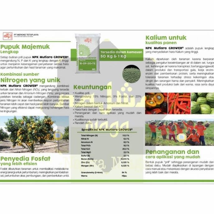 

Terlaris Pupuk Mutiara Npk Grower 15 09 20 Te Kemasan Repack
