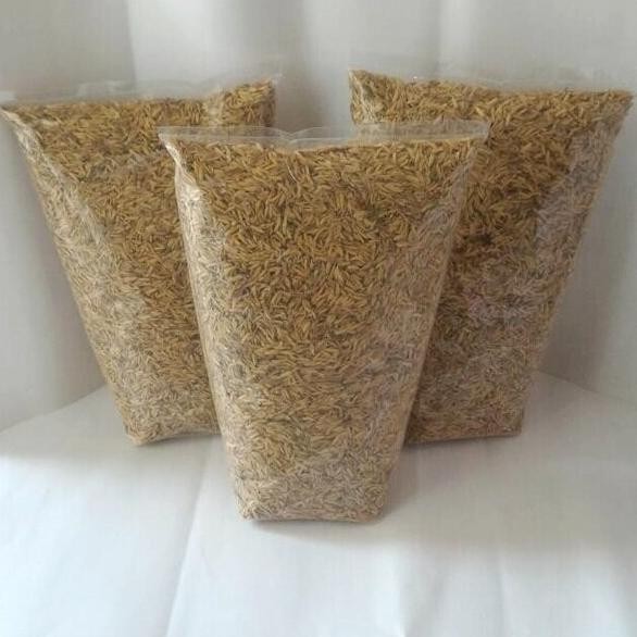 

Terlaris Sekam Mentah 500G Media Tanam Bunga Hias Hidroponik Kulit Padi Organik