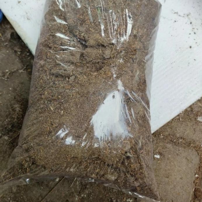 

Terlaris Terbaru Pupuk Kandang Kohe Ayam Murni Fermentasi 25 Kg Original
