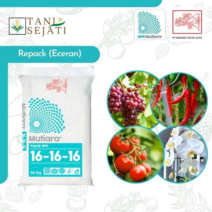 

Terlaris Pupuk Npk Mutiara 16 16 16 Penyubur Tanaman Pupuk Pertumbuhan