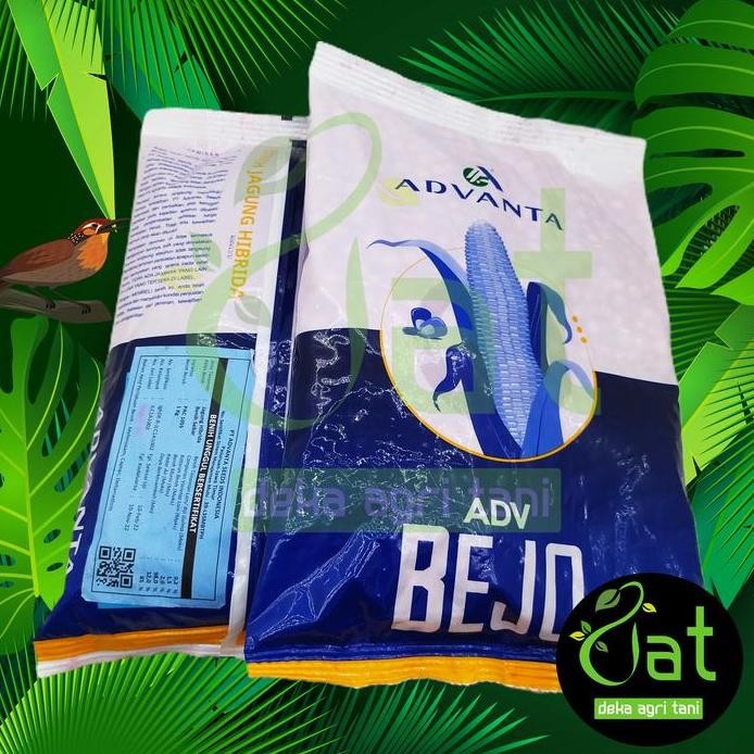

Terlaris Bibit Benih Jagung Adv Bejo 1Kg Advanta