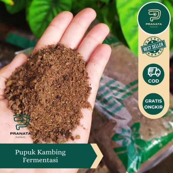 

Terlaris Pupuk Kandang Organik 2,5 Liter Butiran Halus Sudah Di Fermentasi Siap