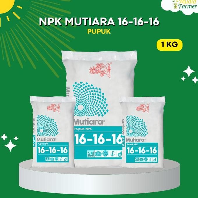 

Terlaris Pupuk Npk Mutiara 16-16-16 1 Kg