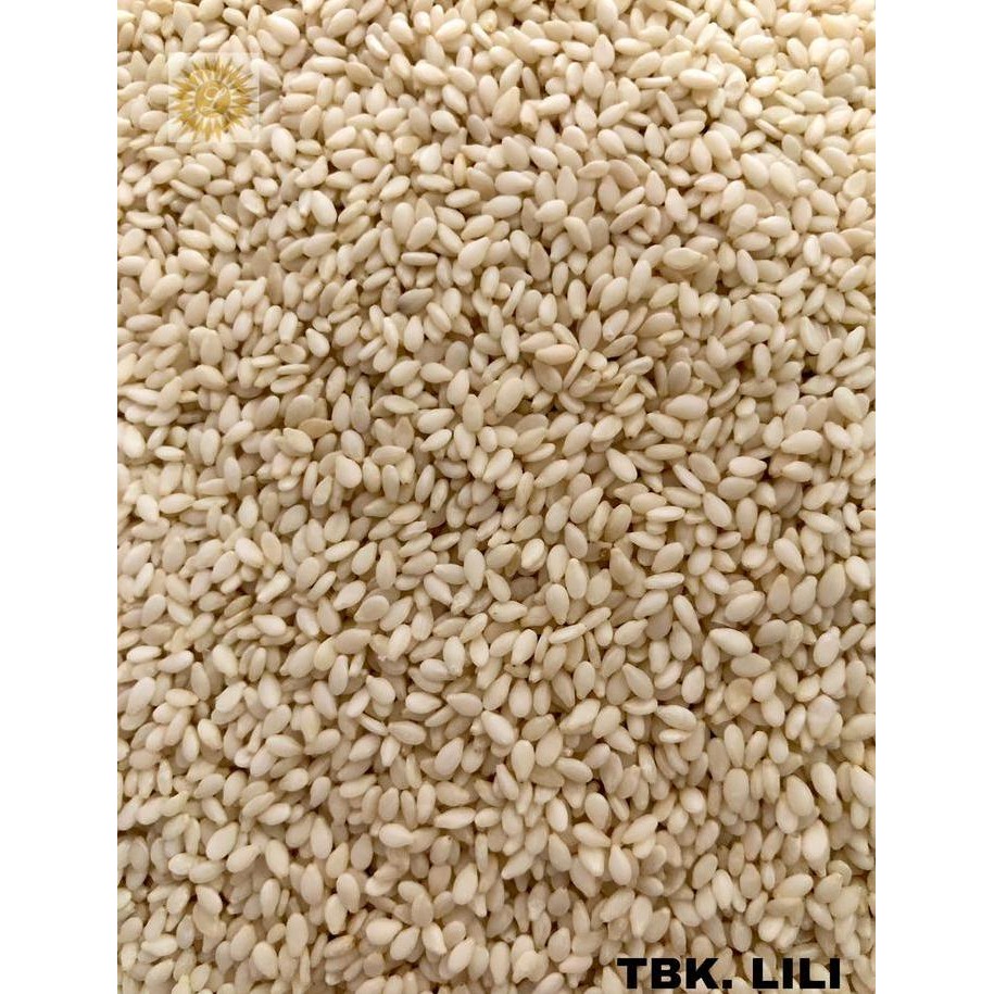 

Terlaris Wijen Putih