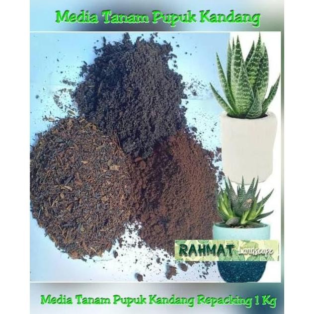 

Terlaris Media Tanam Pupuk Kandang Siap Pakai / Pupuk Kandang / Media Tanam
