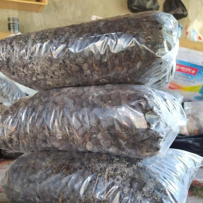 

Terlaris Paket Hemat Pupuk Kandang Kambing