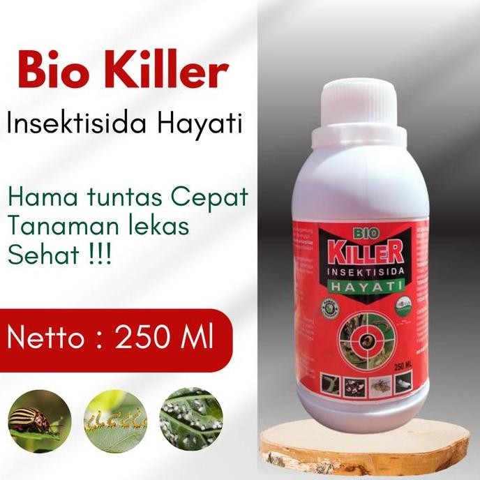 

Terlaris Bio Killer Obat Hama Padi Ampuh, Insektisida Hayati Atasi Kutu Kebul