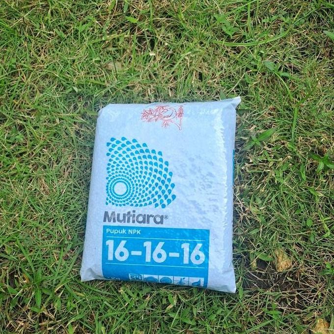 

Terlaris Npk Mutiara 16 16 16 Isi 1Kg