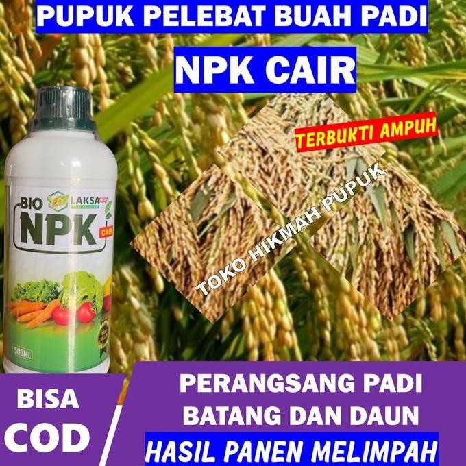 

Terlaris Pupuk Npk Perbanyak Buah Padi Cepat Besar - Isi 500 Ml Melipatgandakan Hasil Panen Padi Melebatkan Buah Padi Membesarkan Bulir Padi Merangsang Padi Tumbuh Subur Cepat Berbunga Dan Berisi