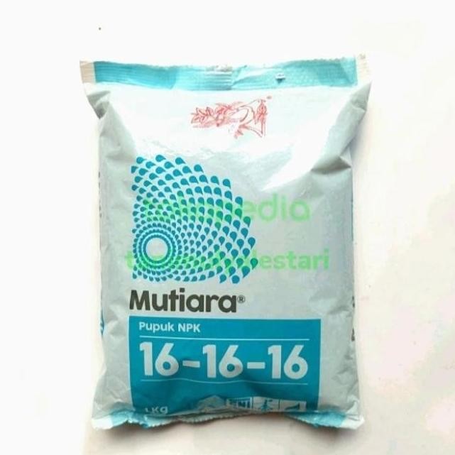 

Terlaris Pupuk Tanaman Npk Mutiara 16 16 Kemasan 250Gr