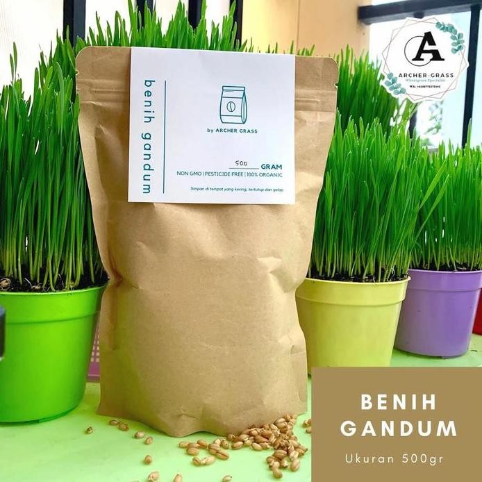 

Terlaris Benih Gandum / Wheat Grass / Cat Grass / Pet Grass 500Gr.