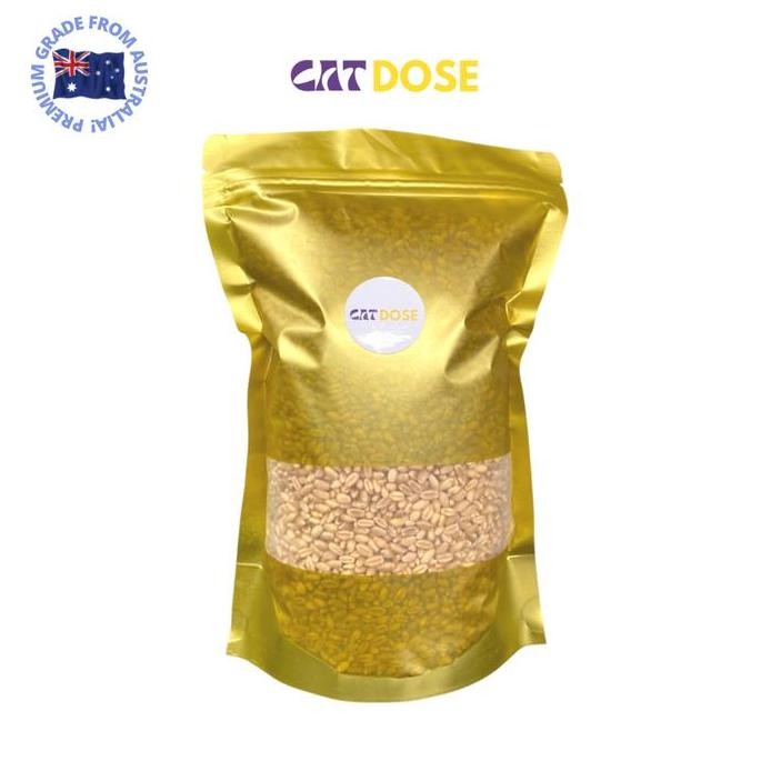 

Terlaris Benih / Biji Gandum Wheatgrass Catgrass Rumput Kucing Premium 500Gr