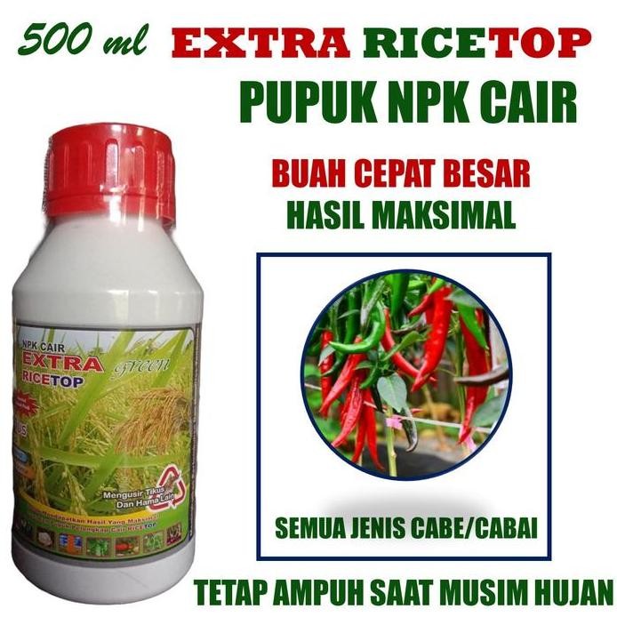 

Terlaris (New) Extra Ricetop Pupuk Cabe Berbuah Lebat Cabe Cepat Lebat Saat Musim Hujan - Pupuk Npk Cair Ricetop Obat Pelebat Cabe Paling Bagus Dan Terlaris 500 Ml - Pupuk Cair Semprot Melebatkan Buah Cabe Berbuah Lebat Tanpa Rontok Terbaik Dan Terbagus