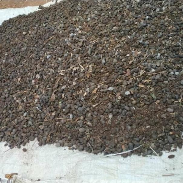 

Terlaris Pupuk Kandang Kotoran Kambing Murni