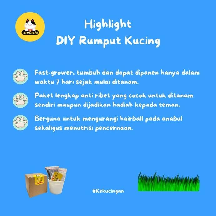 

Terlaris Diy Rumput Kucing / Rumput Gandum Paket Lengkap Pot/Media/Benih 10 Gr
