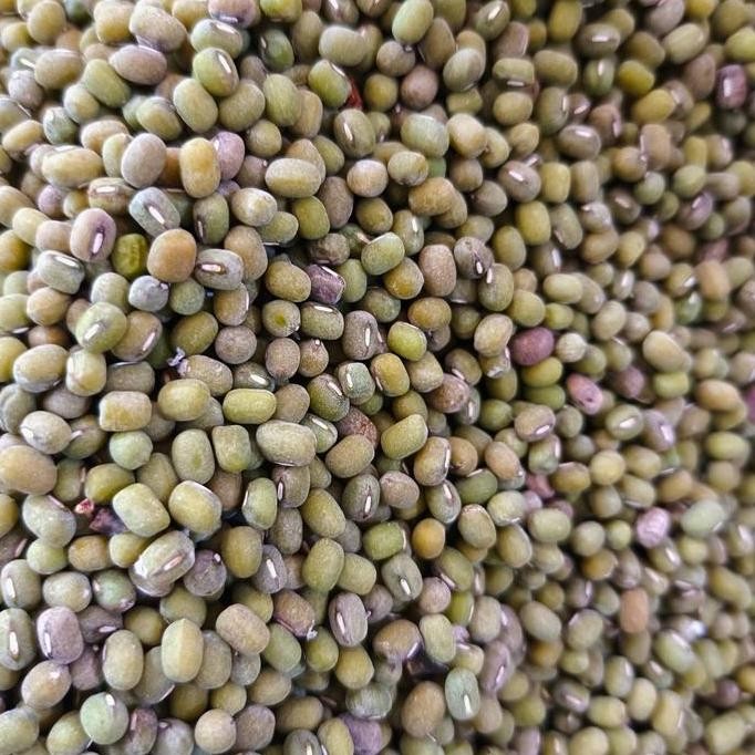 

Terlaris Kacang Hijau Tepung Kualitas A 500G