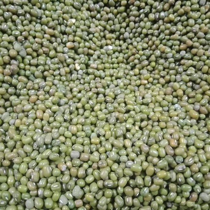 

Terlaris Kacang Hijau 250 Gr