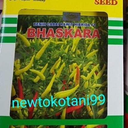 

benih cabe rawit putih hibrida BHASKARA F1 10 gram cabai kapal terbang