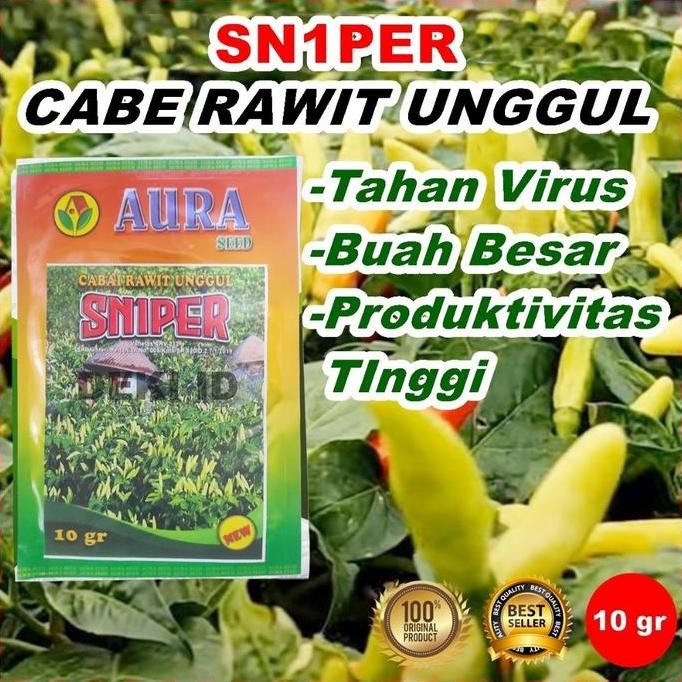 

Benih Cabe Rawit Sniper Bibit Cabai Unggul 10 Gram Aura Seed Kemasan Pabrik Seniman Pertanian