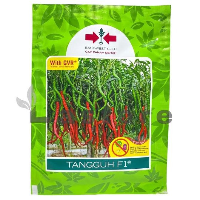 

Benih Cabe Cabai Keriting TANGGUH F1 Isi 2000 Butir Cap Panah Merah