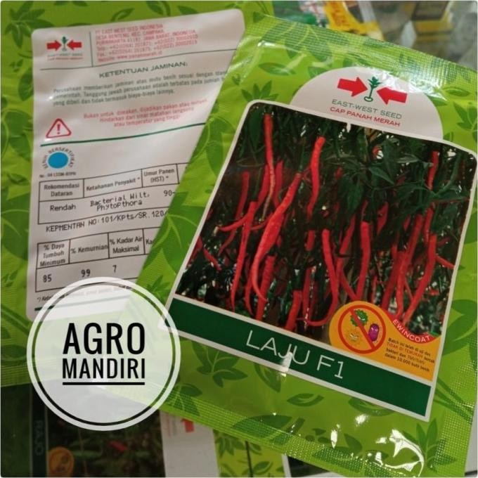 

Benih Bibit Cabe / Cabai Keriting Laju F1 isi 1750 butir Tahan Layu
