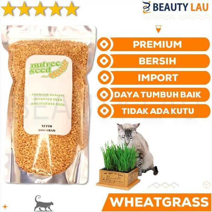 

Terlaris Grosir Benih Wheatgrass 1Kg Bibit Rumput Gandum Kucing Microgreen Seed