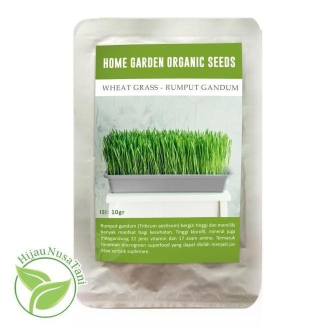 

Terlaris (Isi 50+) Benih Rumput Gandum / Wheatgrass / Cat Grass (Sku Thn)