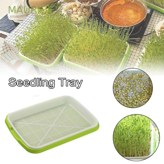 

Terlaris Nampan Semai Benih Gandum Homemade Lapis Ganda Tanpa Tanah