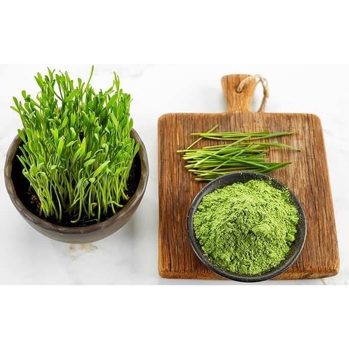 

Terlaris Hjk Isi 50 Benih Biji Rumput Gandum / Wheat Grass Known You Seed Repack