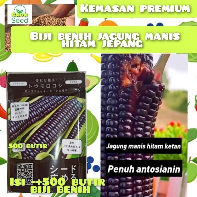 

KEMASAN PREMIUM 500 BUTIR BIJI BENIH JAGUNG MANIS HITAM JEPANG IMPOR F1 TERMURAH