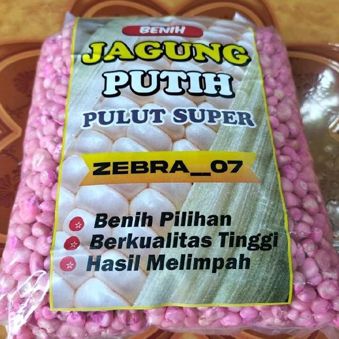 1 KG BENIH JAGUNG KETAN PUTIH PULUT tanaman melon bibit sayuran hi drop bau kacang benih padi benih 