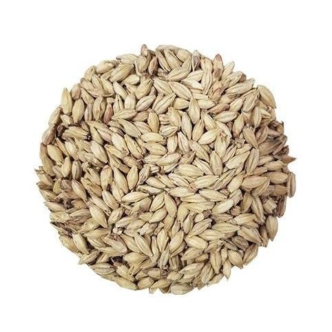 Ready stock] Malt Chteau Munich 25 EBC