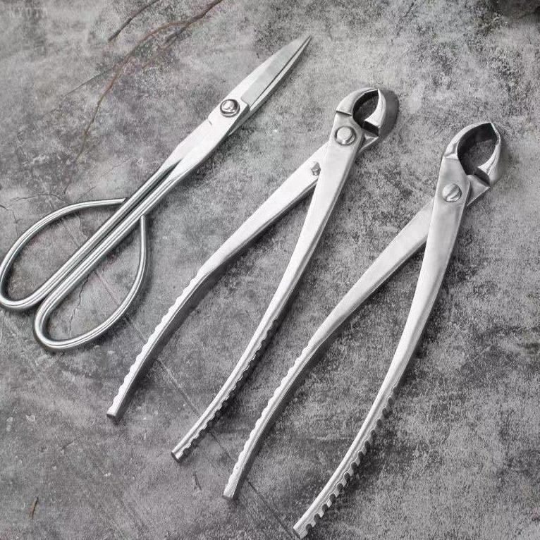 Catok Bonsai Cembung 21 Cm Catut Cembung Brand Miswan Original Tanaman Bonsai Nyota Murah