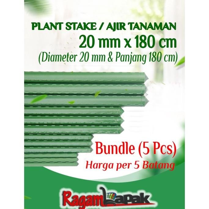 5 Pcs Plant Stake / Ajir Tanaman / Ajir Turus Modern 20 Mm X 180 Cm Murah