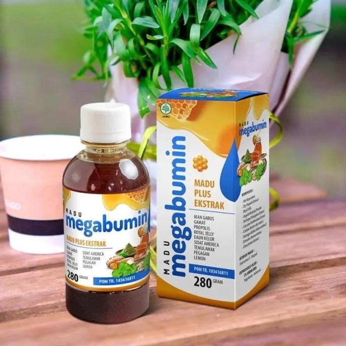 

Terlaris Madu Megabumin Ikan Gabus Plus Temulawak 280Ml Vitamin Penambah Nafsu Makan Albumin