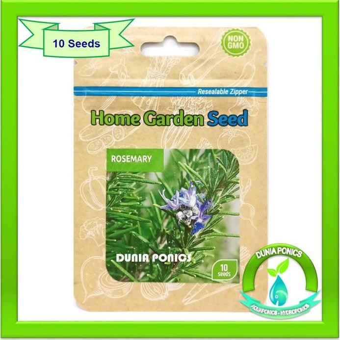 

Terlaris Benih Bibit Rosemary Home Garden Seed