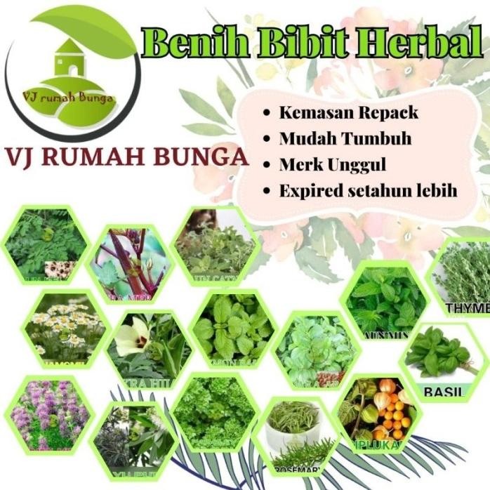 

Terlaris Benih Bibit Herbal Benih Herb Daun Mint Rosemery Thyme Oregano Parsley