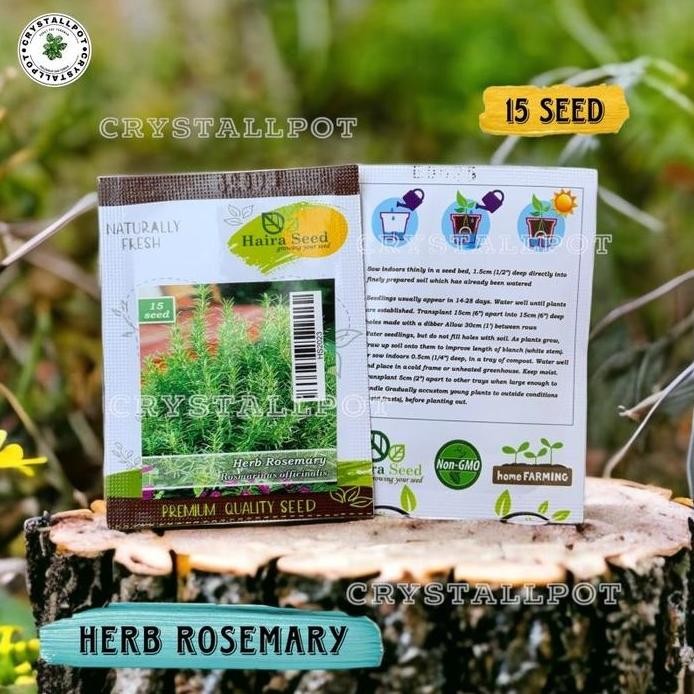 

Terlaris Benih Bibit Herba Rosemary Rosmarinus Haira Seed - Herba Rosemary