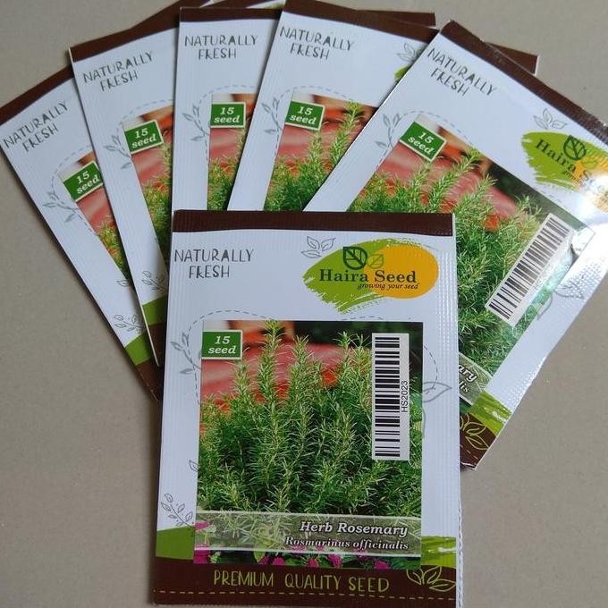 

Terlaris Benih Bibit Herbs Rosemary